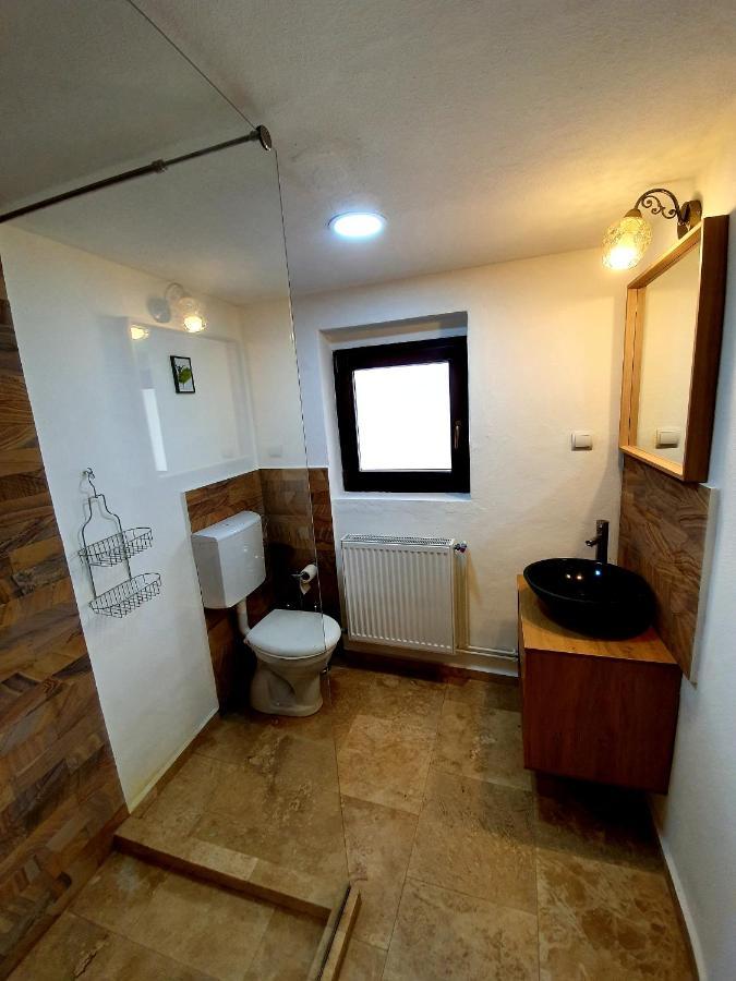Maximus Apartments Sighisoara Bagian luar foto